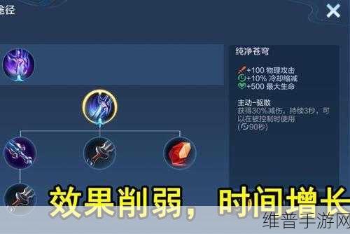 王者荣耀纯净苍穹，装备深度解析与搭配禁忌