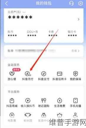 热门手游攻略大揭秘，抖音月付客服电话及更多精彩