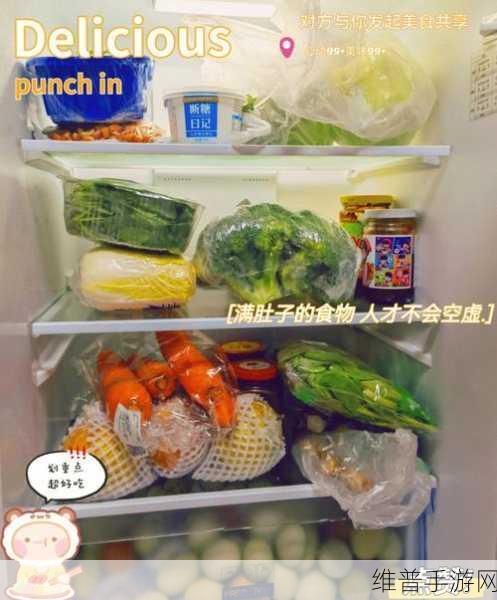 叮咚买菜配送流程揭秘，手游玩家如何高效利用碎片时间