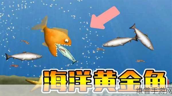 星球重启黄金鱼高效钓取秘籍