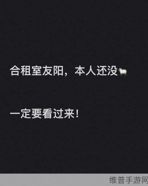 解锁室友的n种方式：1. 破解室友关系的十种创新方法