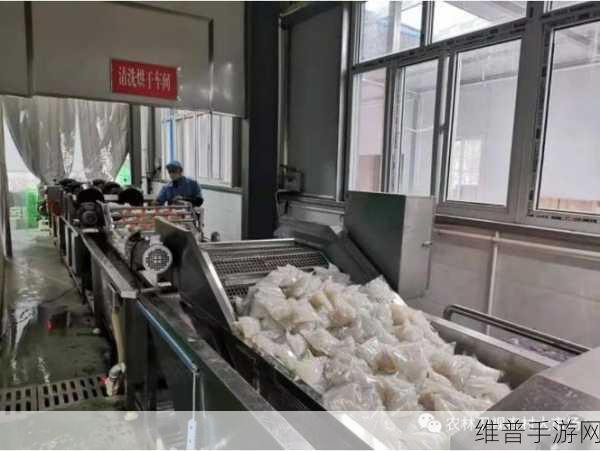 国精产品一区一区三区公司：1. 国精产品一区三区市场拓展新机遇