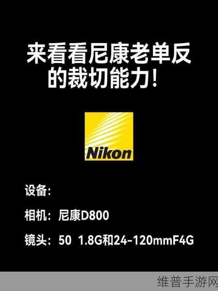 尼康d800发布价格：尼康D800发布价格解析与市场影响分析