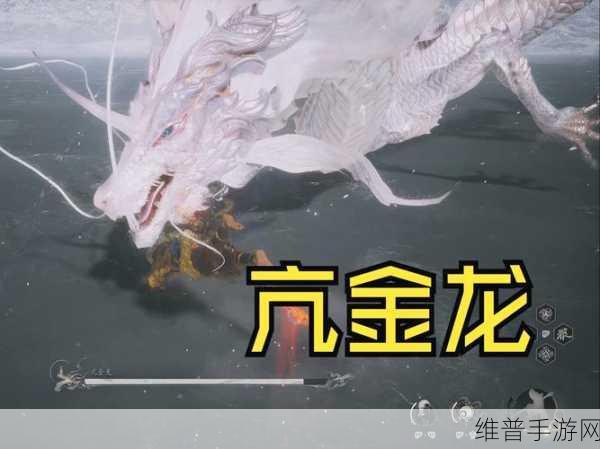乱斗西游 2 亢金龙实战表现全解析