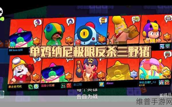 荒野乱斗纳尼战术搭配深度解析