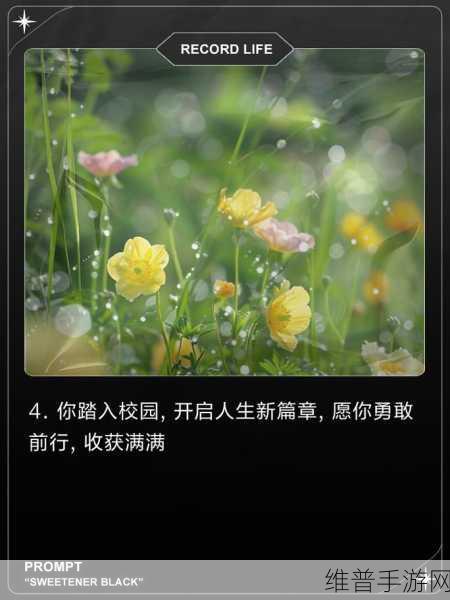 已满18点此进入：1. 满18岁，开启人生新篇章的新旅程