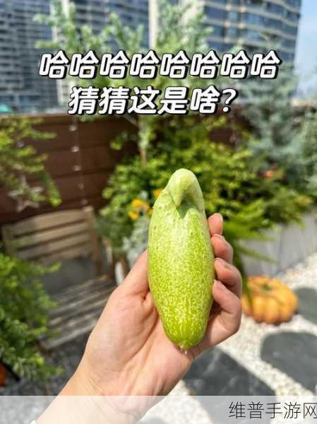 51cg热门大瓜今日吃瓜 往期回顾:1. 今日吃瓜:51cg热门大瓜的精彩回顾
