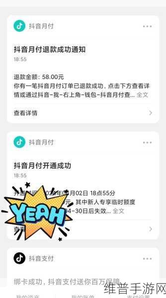 抖音月付在手游支付中的常见问题及解决方案