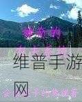 深入探究辐射 4VATS 系统的神奇作用