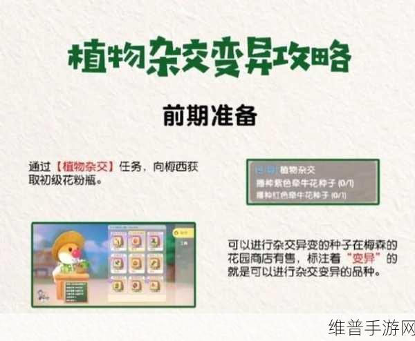 摩尔庄园手游，百合花获取秘籍大公开