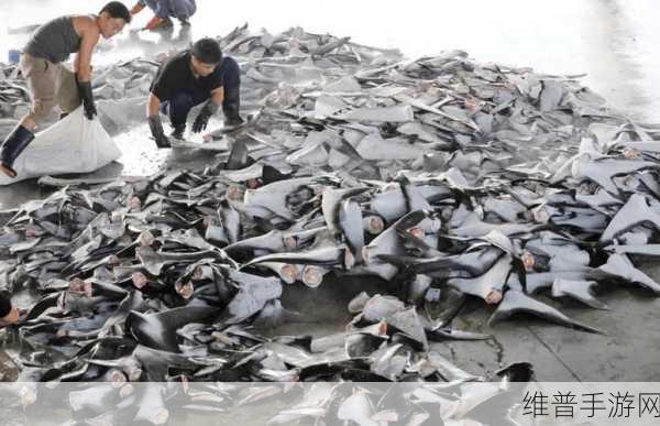 缅甸北部恐怖血腥网站2023：缅甸北部恐怖血腥事件再升级：暴力冲突频发引发国际关注