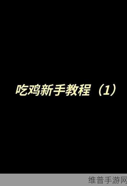 和平精英新手攻略，掌握这些操作，助你快速上手