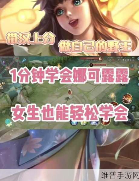 王者荣耀娜可露露铭文搭配全解析