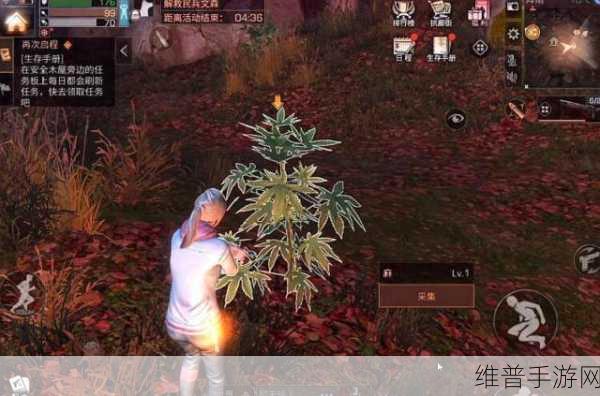 明日之后测试时间震撼揭晓，末日生存之旅即将启程，全面攻略与深度解析