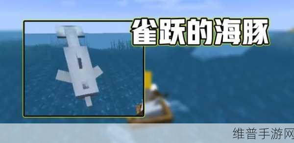 我的世界手游，海豚驯服秘籍大公开
