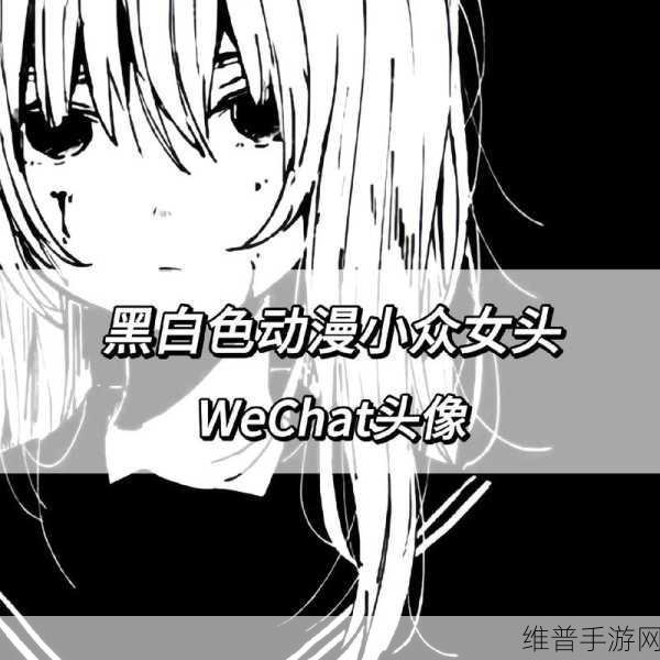 抖音换头像后，手游玩家如何保护隐私与提升游戏攻略曝光率