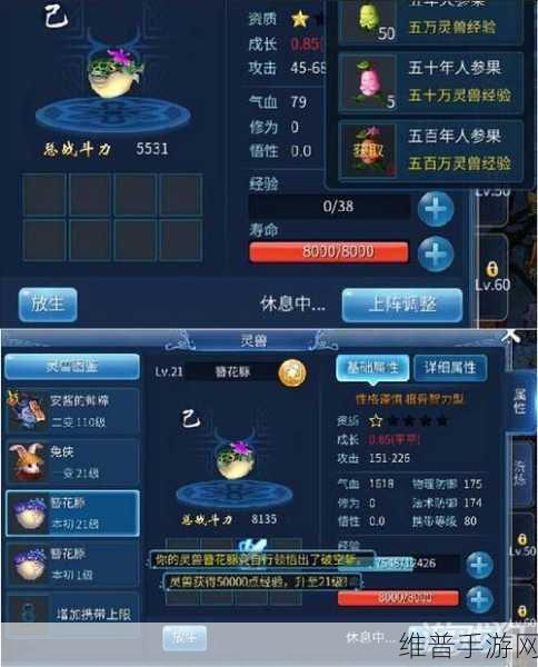 倩女幽魂手游灵兽攻略，资质与成长哪个更重要？灵兽培养技巧全解析