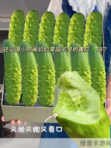 黄瓜91ios轻量版：1. 黄瓜91ios轻量版：极致体验，畅享无缝连接