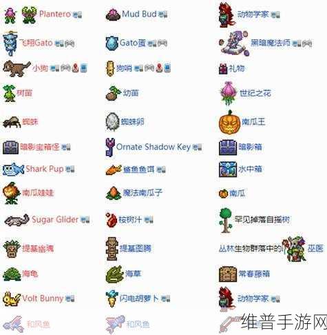 泰拉瑞亚稀有宠物全揭秘，十大珍稀伙伴