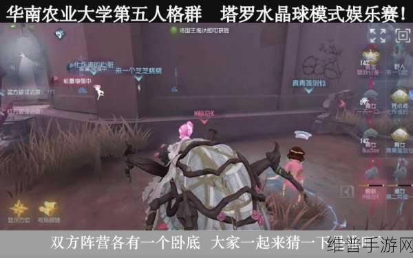 第五人格塔罗水晶球模式全攻略，上线时间与玩法深度解析