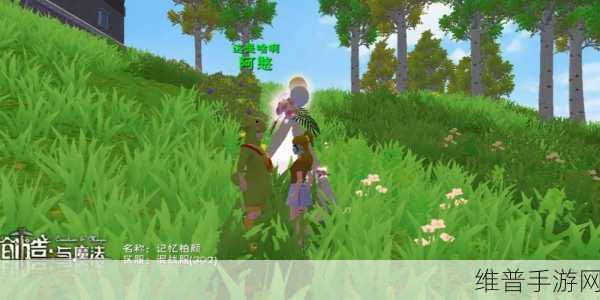 创造与魔法3月5日最新礼包兑换码大放送，解锁无限创意与魔法力量