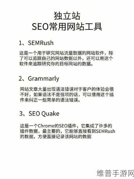 seo视频APP网页入口：1. 提升网站流量的SEO视频APP使用指南