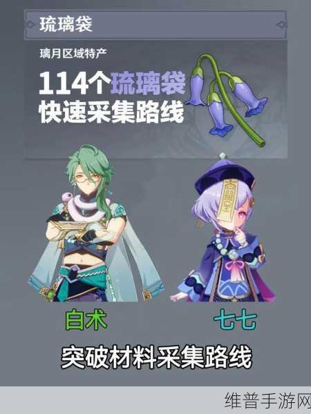 原神白术等级突破全攻略，解锁角色潜力的必备材料