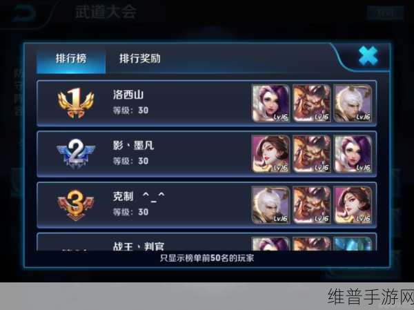王者荣耀新赛季英雄调整全解析,策略与机遇并存