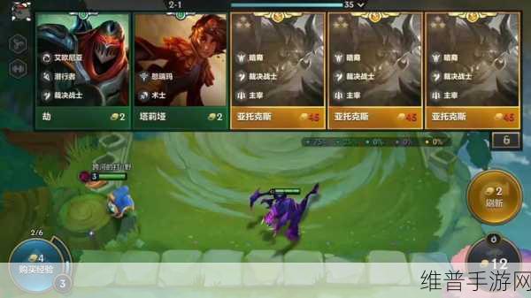 金铲铲之战福星临门艾希全面解析,策略与装备搭配指南