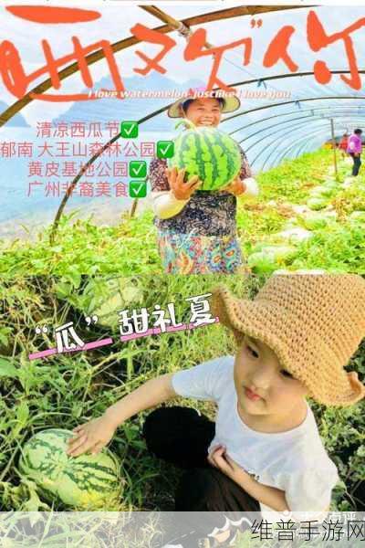 155fun今日吃瓜:1. 今日吃瓜:明星八卦背后的真相揭秘