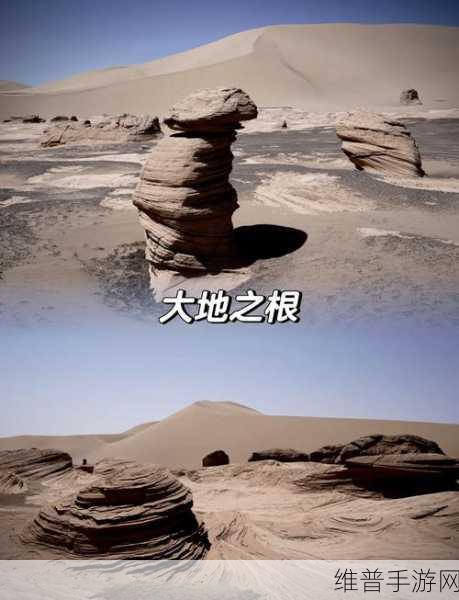 无人区编码6229jm央视：1. 探索无人区：6229jm的神秘之旅