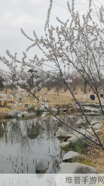 重游母亲桃花源：1. 重返桃花源：寻觅遗失的故乡记忆