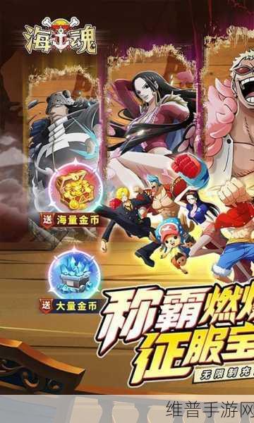 航海王强者之路海魂运用攻略,如何最大化收益