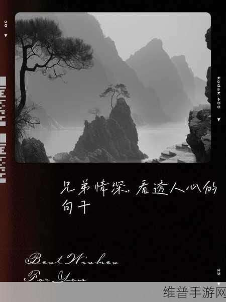 兄弟1v2:1. "兄弟情深:一对二的默契挑战