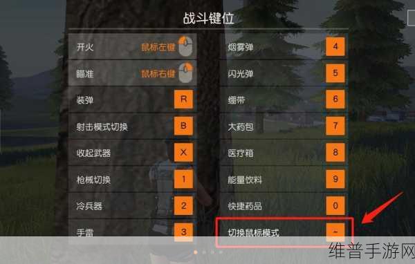荒野行动游戏按键设置全攻略，打造个性化操作体验