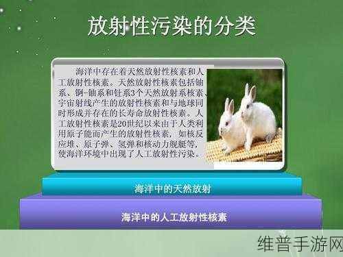 污染软件免费在线观看:1. "探索污染软件:全面了解其危害与防护