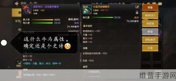 DNF手游攻略，深度解析禁忌之痕腰带属性