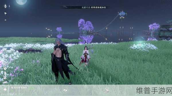 逆水寒李师师的秘境探寻，深度攻略解锁隐藏宝藏与古老传说