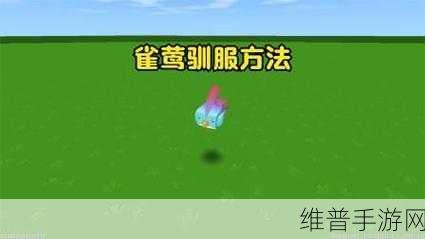 迷你世界雀莺驯服与获取全攻略