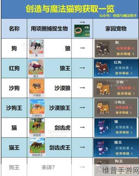 创造与魔法,解锁你的奇幻之旅,精选坐骑选择全攻略