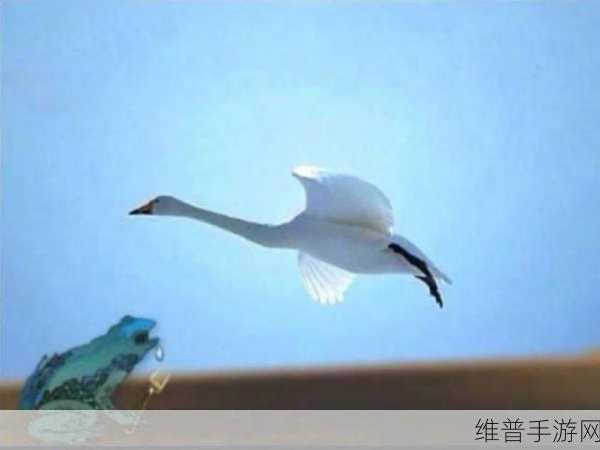 老牛嫩草AⅤ一区二区三区：当然可以，以下是一些基于“老牛嫩草”主题的标题建议：