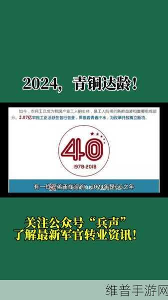 2024年退伍军人召回：1. 2024年退伍军人召回政策的新机遇与挑战