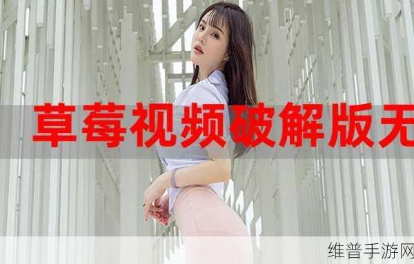 草莓视频污限观看：1. 草莓视频：带你探索无限限制的观看乐趣