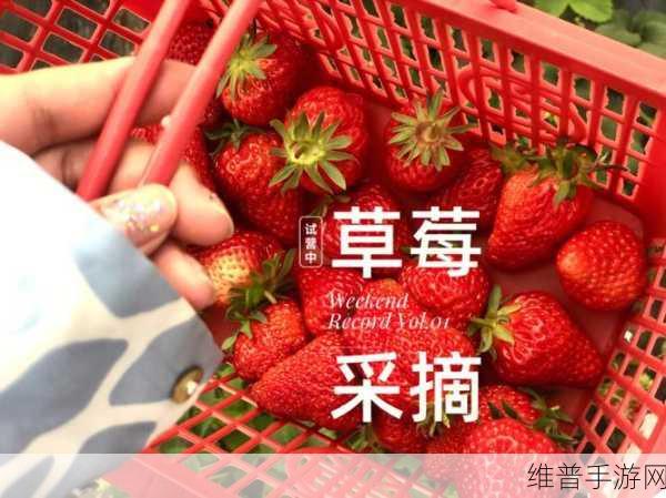 草莓视频污限观看:1. 草莓视频:带你探索无限限制的观看乐趣