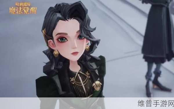 哈利波特魔法觉醒，轻松换外观，打造你的专属巫师风采