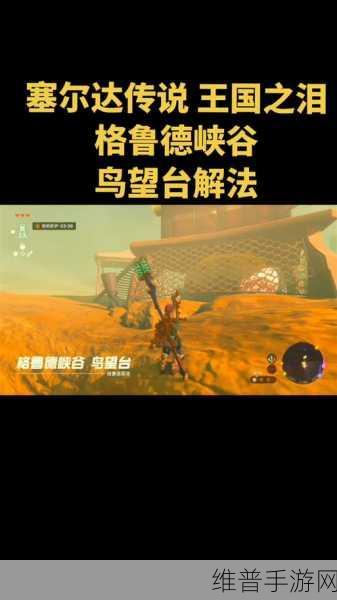 塞尔达传说王国之泪，解锁撒哈斯拉平原鸟望台的全面攻略