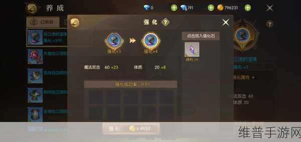 龙之谷 2 宠物获取秘籍大公开