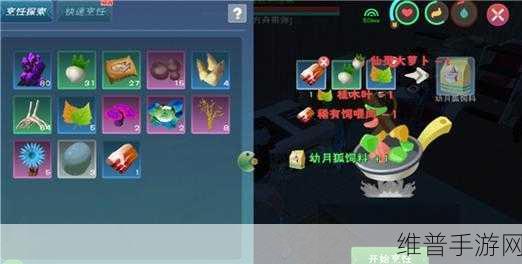 创造与魔法，解锁幼紫鲨饲料的神秘配方