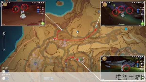 原神4.1悼灵花位置大全及采集路线分布图详解