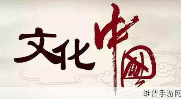 国家精品免费看:1. 国家精品资源共享,提升文化自信的全新视角